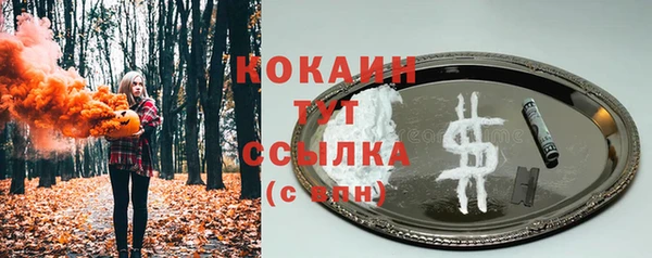 гашик Кодинск