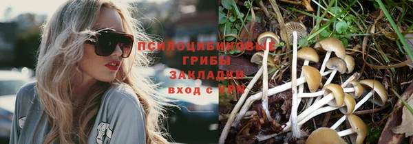 гашик Кодинск