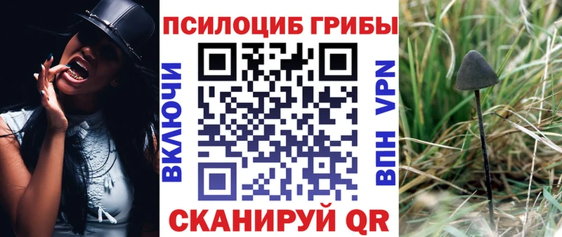 Псилоцибиновые грибы Cubensis  Кудымкар 