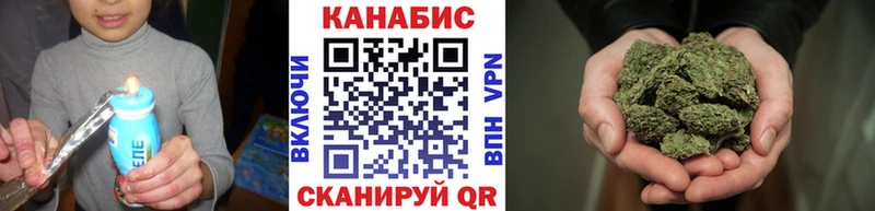 Бошки Шишки семена  Кудымкар 